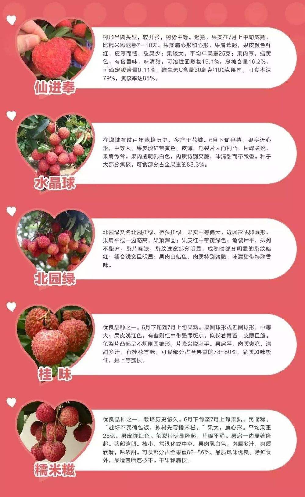 水果的分类6大种类,100种水果名字和图片
