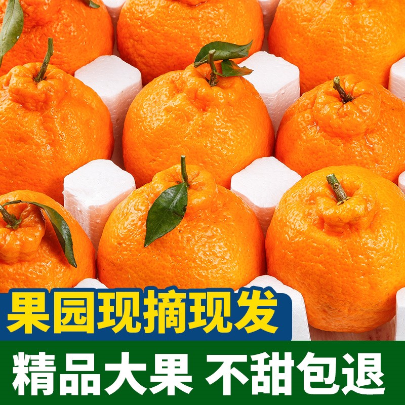 水果柑橘种类,柑橘吃多了会上火吗