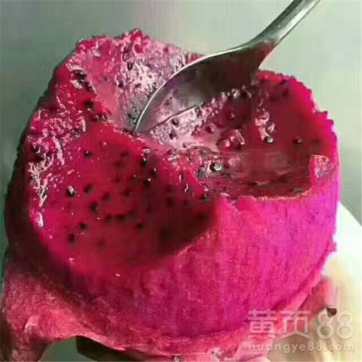 火龙果多少钱,每天吃火龙果有什么好处和坏处吗