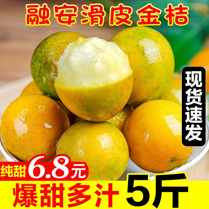 水果橘子,水果橘子图片大全