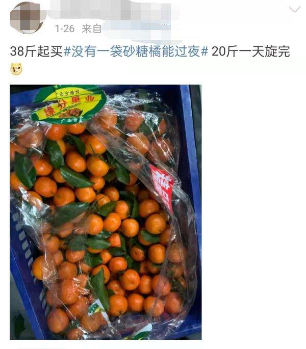 超甜砂糖橘,沙糖桔怎么选甜的