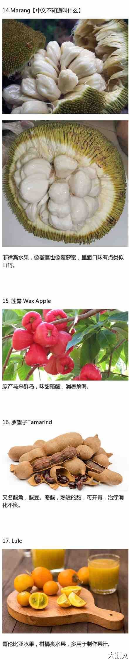 水果的种类名单,都有什么水果名字