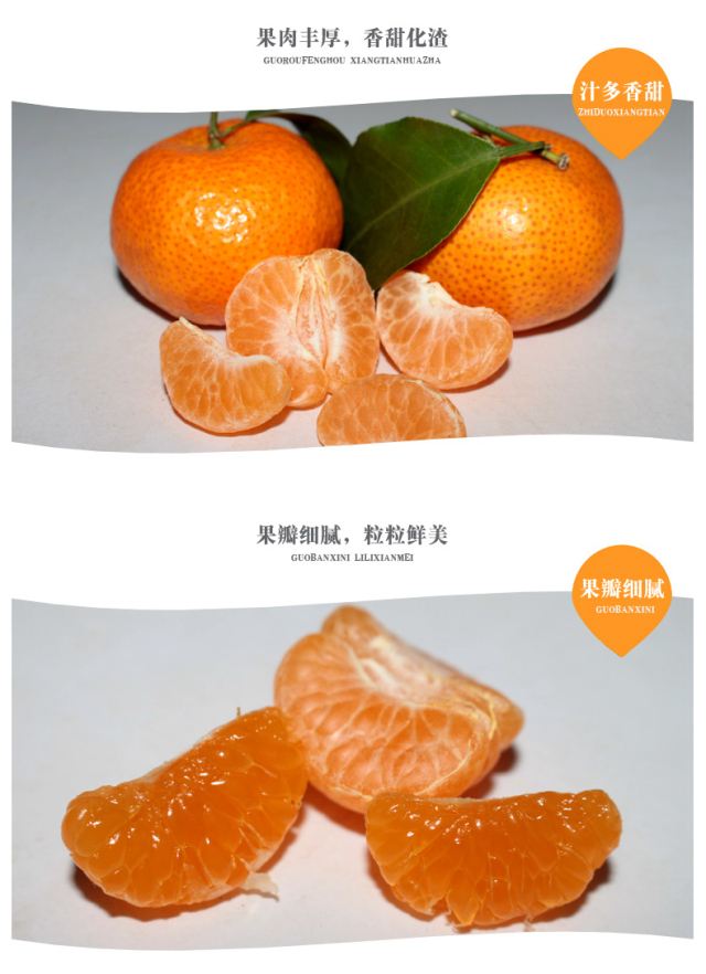 胃病吃砂糖橘,橘子对胃有好处吗