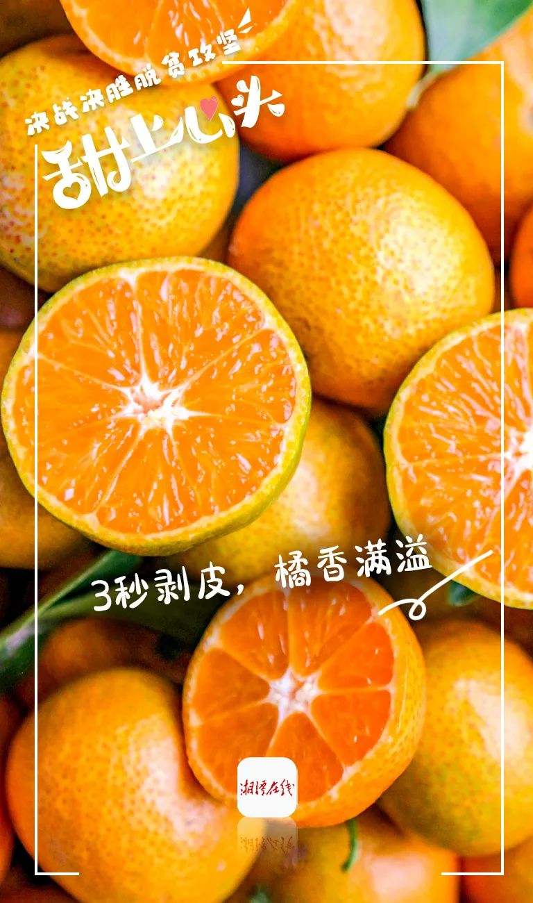 5A砂糖橘,砂糖橘图片真实图片