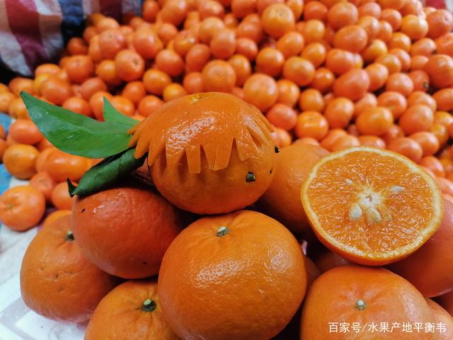 沃柑食用方法,沃柑十二种美味吃法