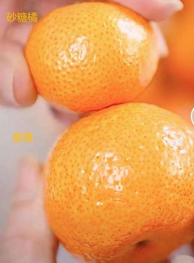 关于啤酒和砂糖橘的信息