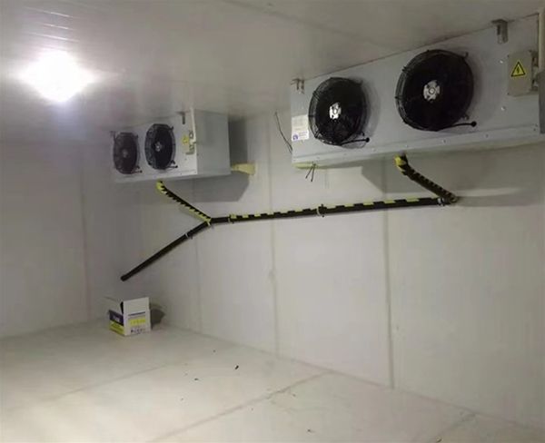 冷库水果,排管冷库保鲜水果