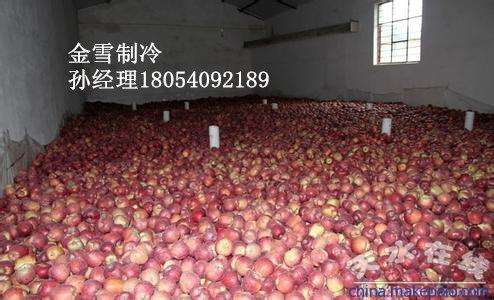 冷库水果,排管冷库保鲜水果