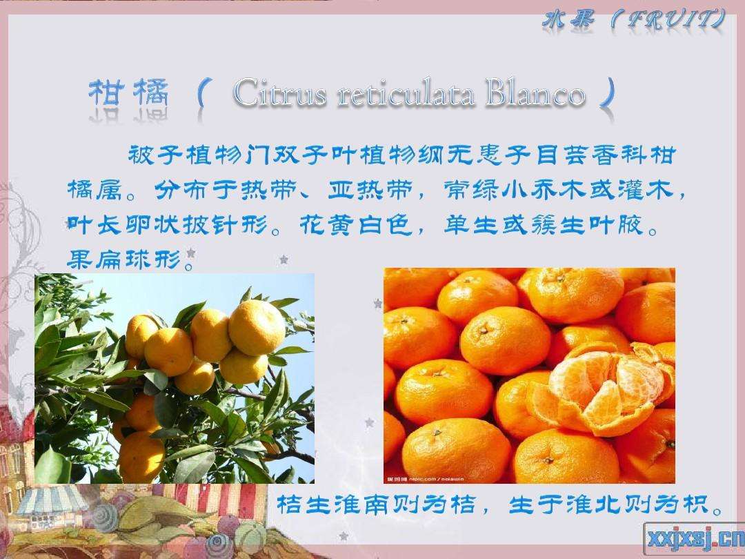 水果种类名词,50种水果常识大全