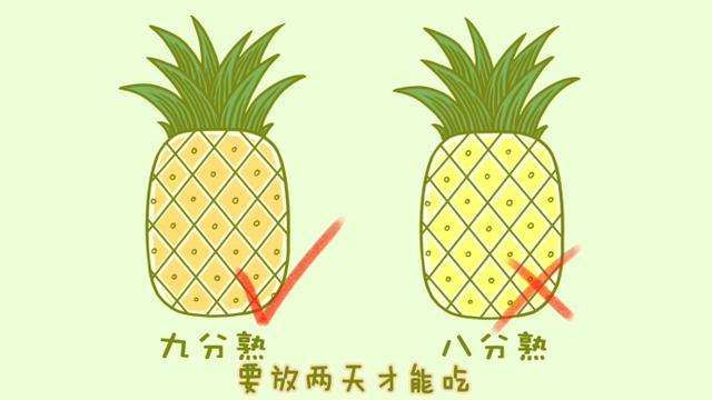 如何挑菠萝,如何挑哈密瓜视频