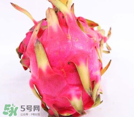 火龙果怎么保存,火龙果的功效与作用及禁忌