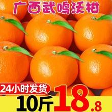 椪柑砂糖橘,椪柑是什么杂交的