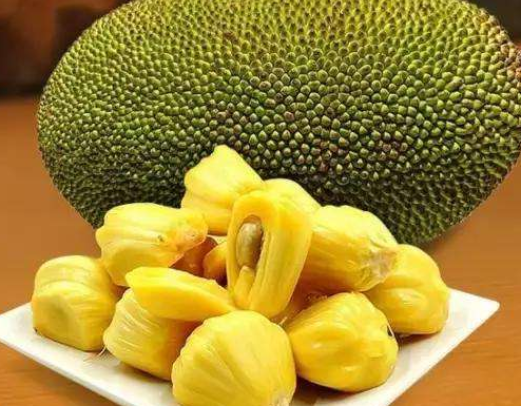菠萝蜜哪里的好吃,菠萝蜜哪个品种好吃