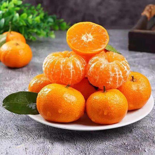 砂糖橘和啤酒,砂糖橘吃多了上火吗