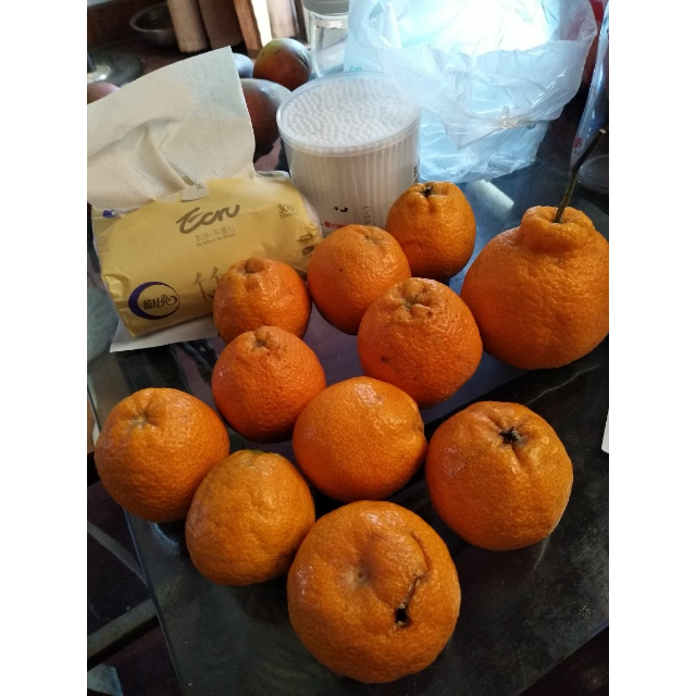 现摘水果运输4天会腐烂吗,用塑料袋装水果是不是更易腐烂