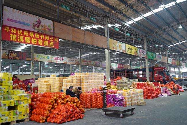 运输水果找什么物流,山东省樱桃运输物流选