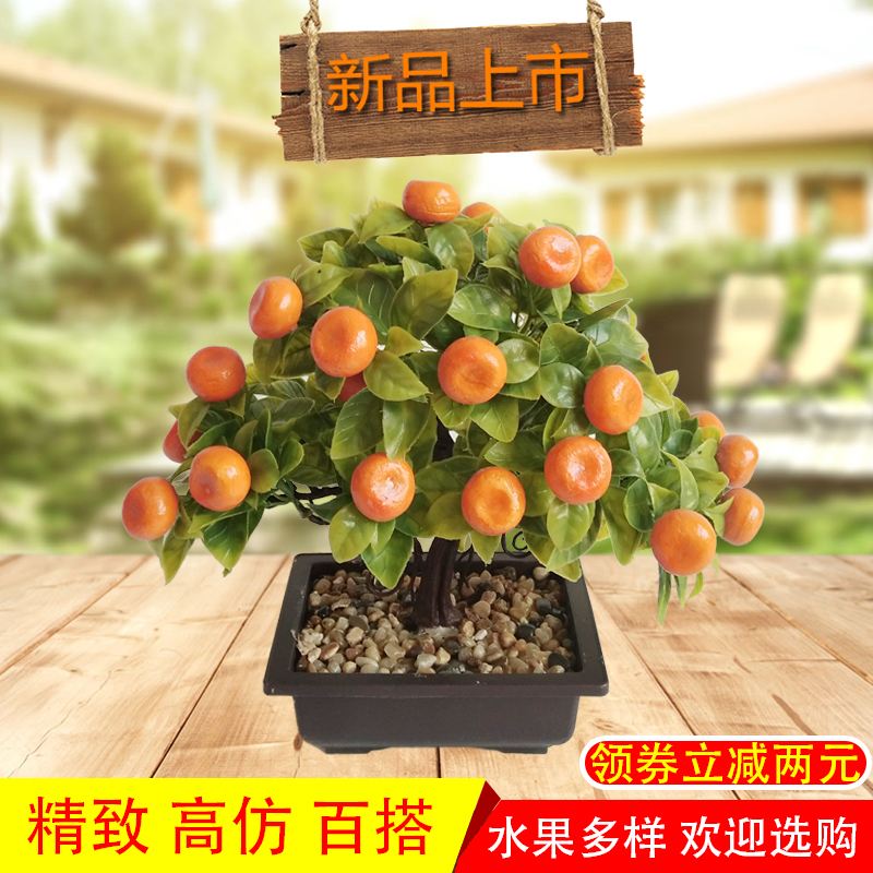 盆景水果种类,盆栽苹果树施肥技术