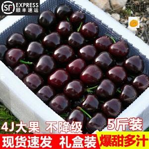 顺风水果运输,顺丰寄水果多少钱一斤