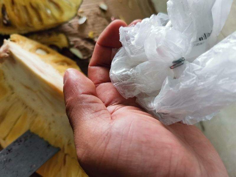 菠萝蜜粘液怎么洗,菠萝蜜的粘液用什么洗
