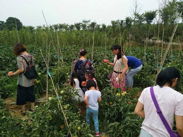 关于采摘水果工作的好处坏处的信息