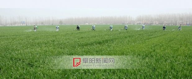 农业土地运营,农业土地利用类型