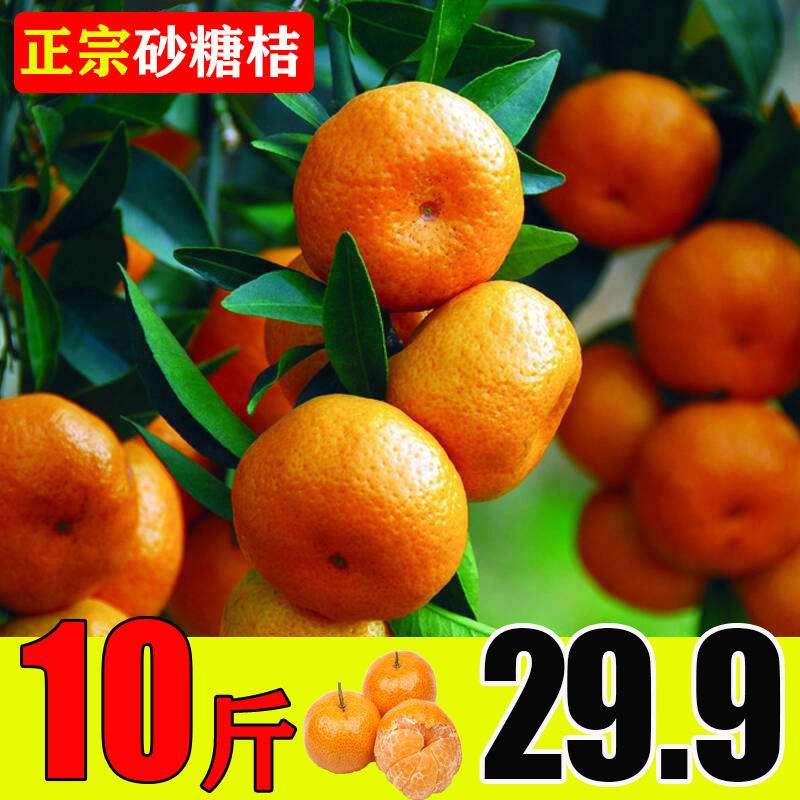 砂糖橘鲜果,今年砂糖橘为什么这么便宜