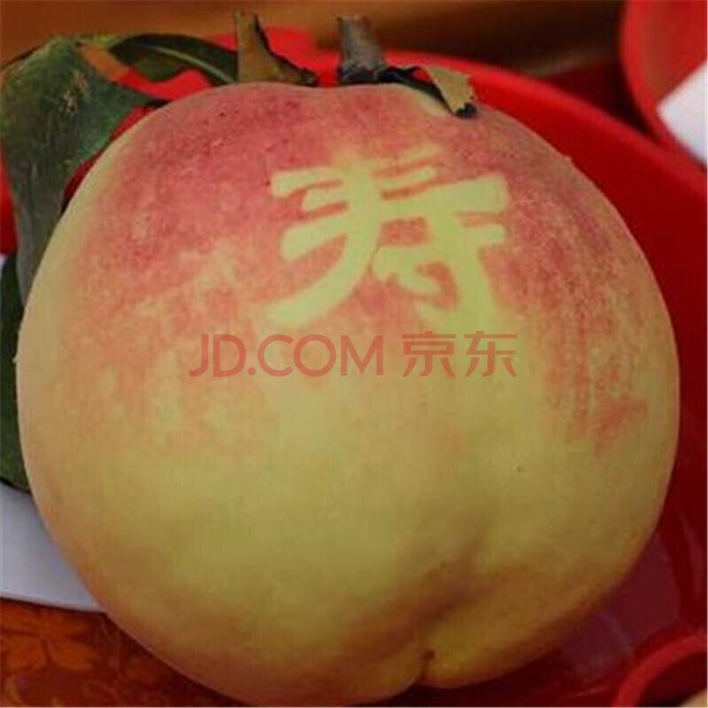 水果种植证,果树种植需要办证吗
