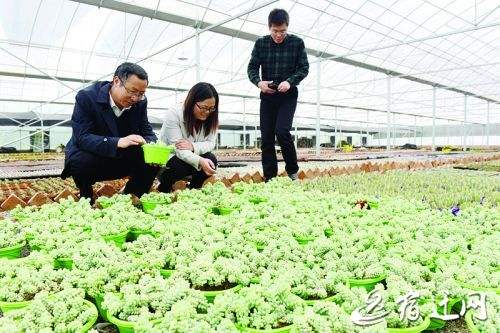 农业养殖运营部工作,农业农村部是干什么的