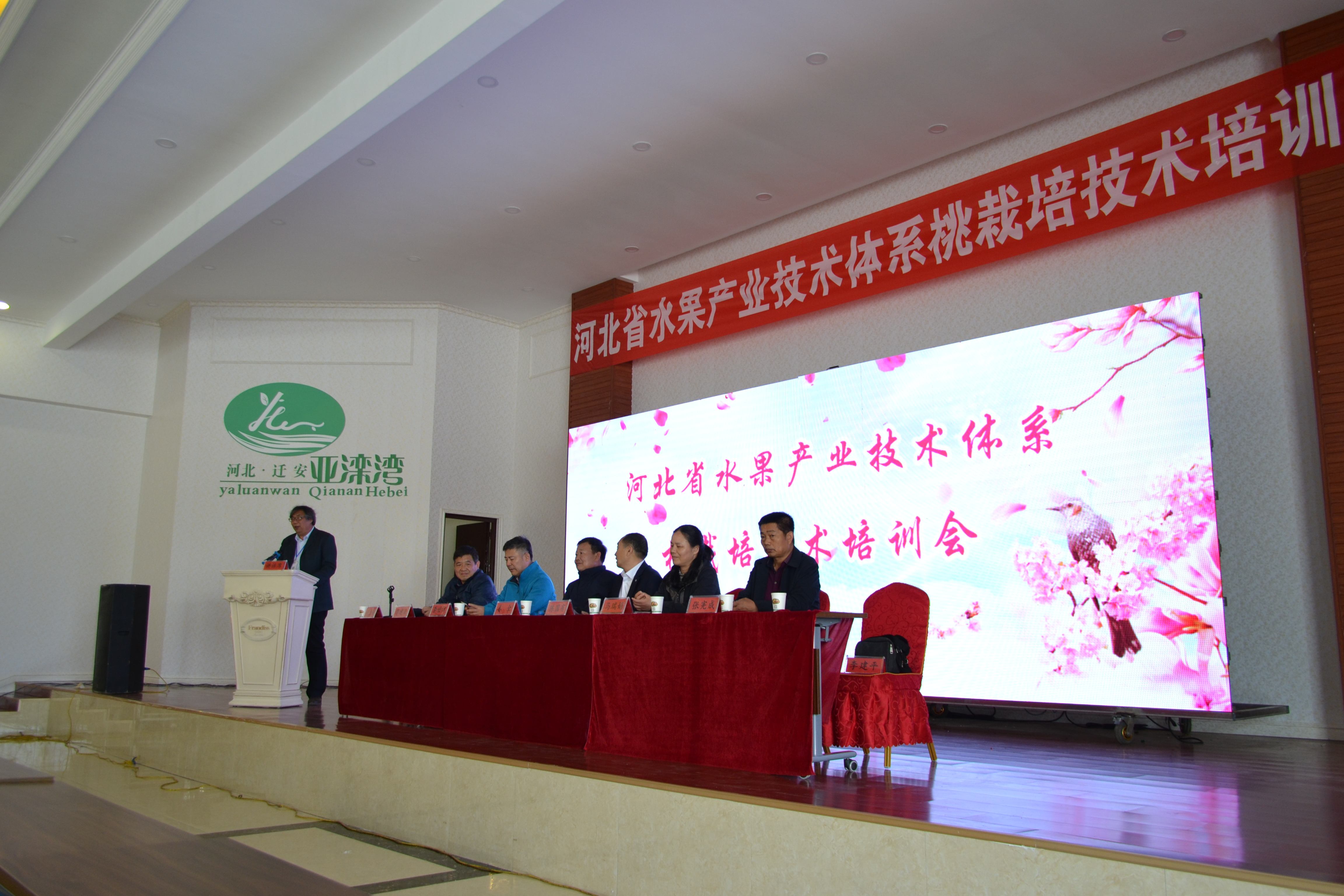 水果种植培训学校,湖北适合种什么水果树