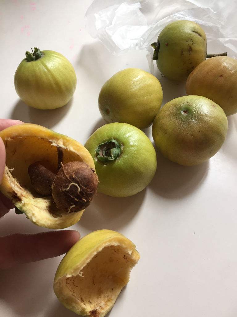 水果核种植,水果核吞下去了怎么办