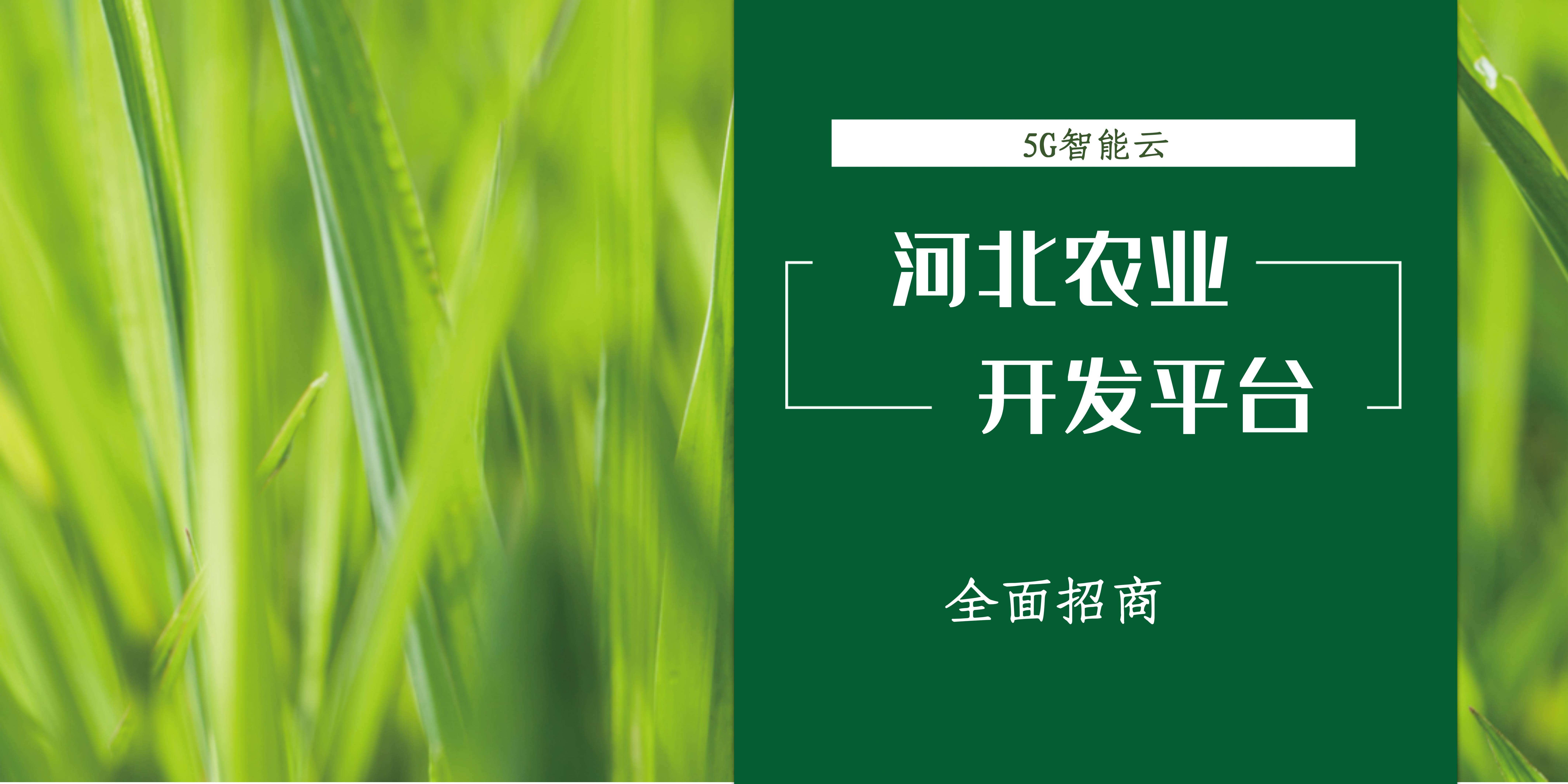互联网加农业怎么运营,openfire的未来发展