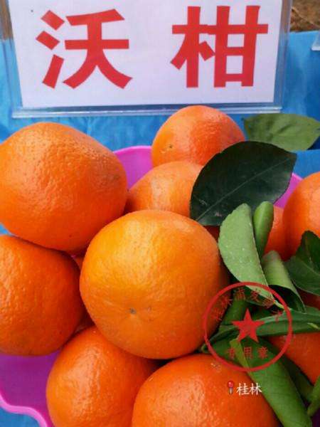 沃柑脱色,橘子皮上有红色药剂