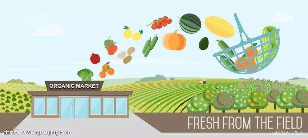 水果冷链运输的必要性,进口水果算进口冷链食品吗