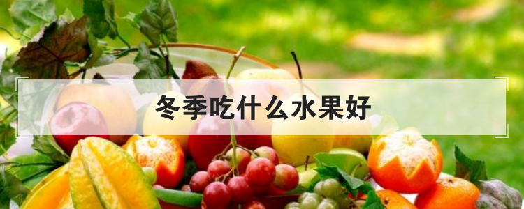 水果有哪些好处,水果的功效和作用