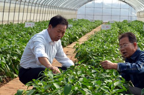 农业推广项目管理,农业推广项目及其管理
