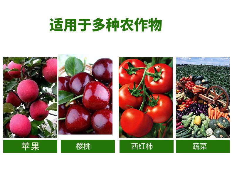 关于水果蔬菜中含氮磷钾丰富的种类的信息