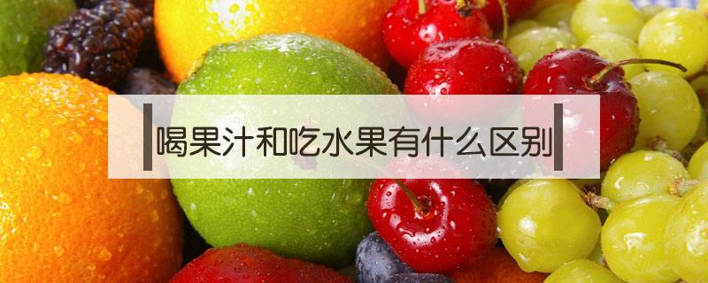 关于水果打果汁有什么好处的信息