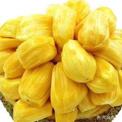 菠萝蜜的样子,菠萝蜜一区二免费进入