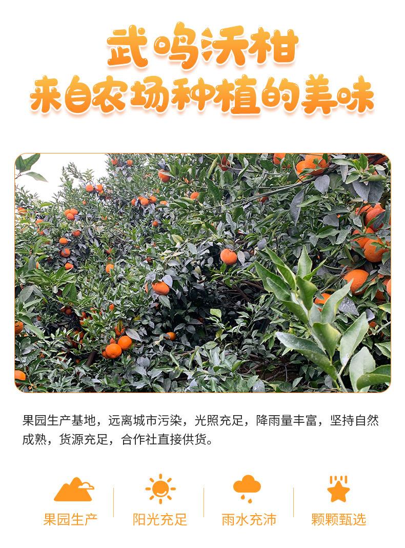 砂糖橘泡皮果,砂糖橘为什么叫沙糖桔