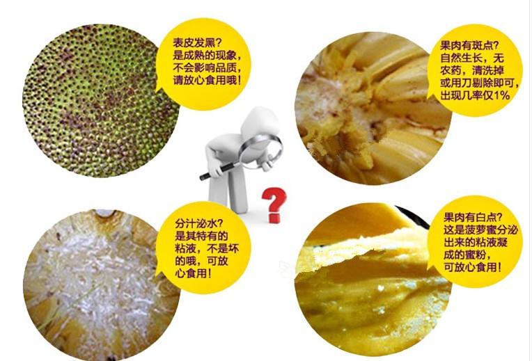 菠萝蜜与榴莲的区别,吃榴莲好还是菠萝蜜好