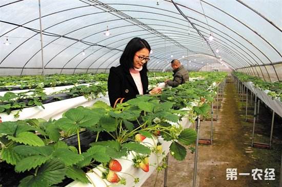 农业结合现代科技管理,关于农业的现代科技有哪