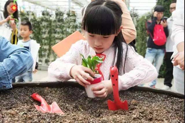 水果种植体验研学课程,体验园艺植物栽培技术综合实践教案