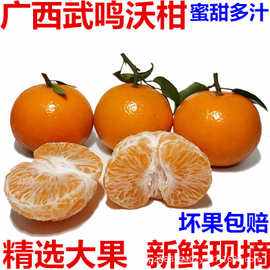 沃柑沙糖,沃柑和沙糖桔哪个贵